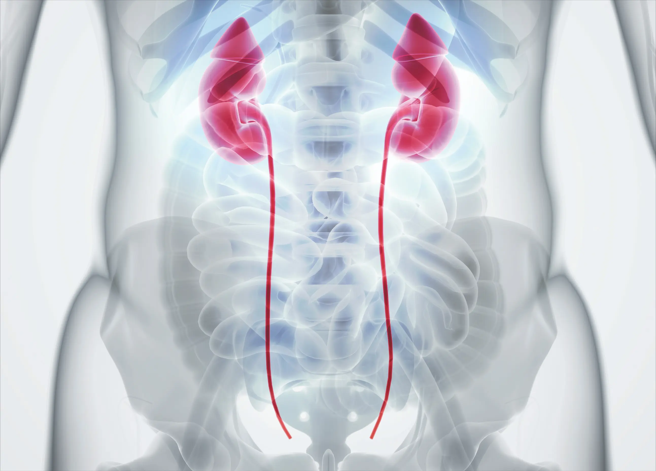 Urologie
