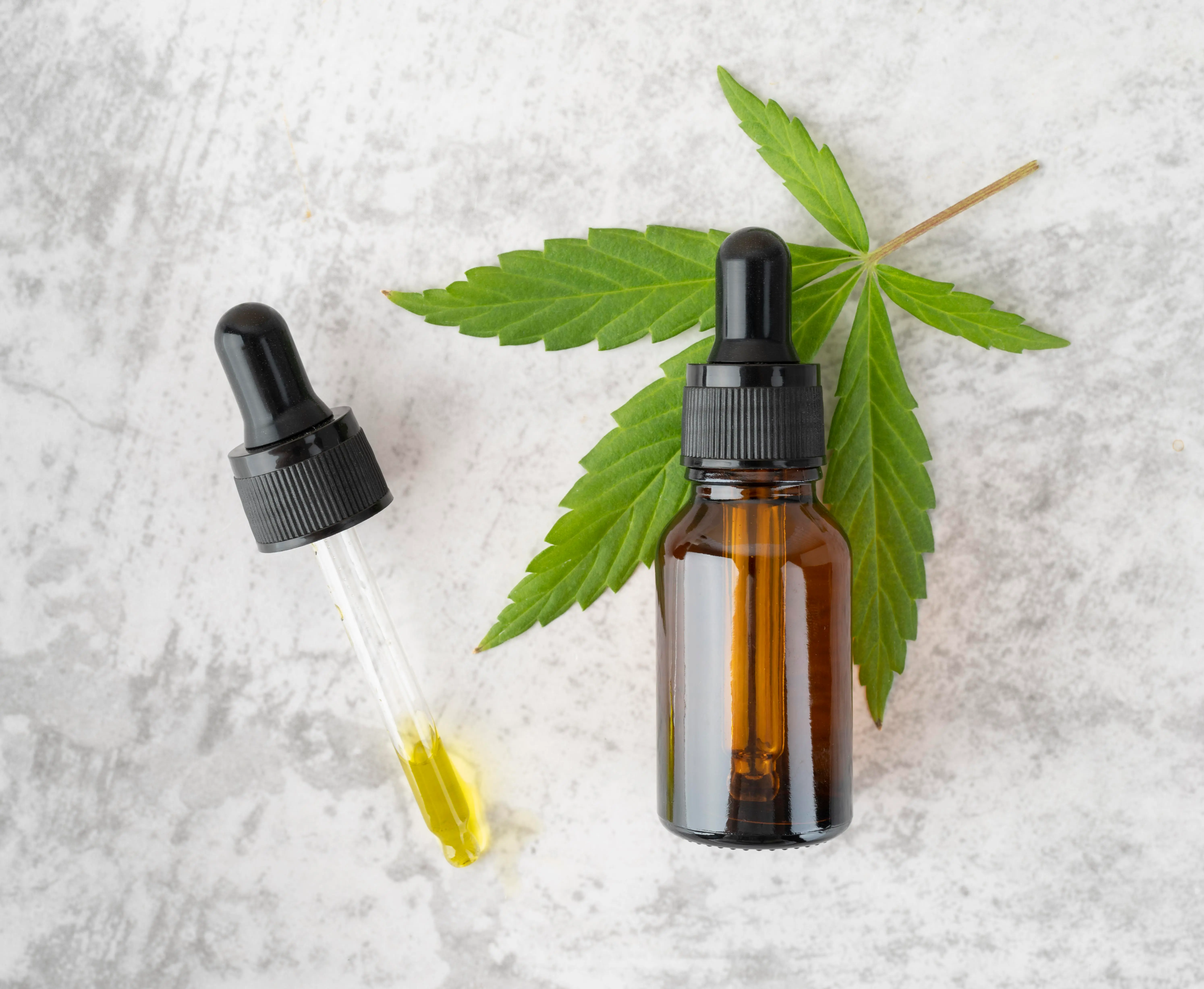 Cannabis Pflanzen CBD Öl