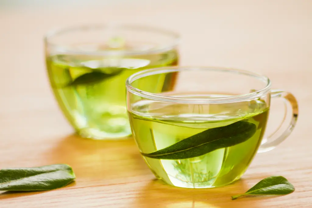 green tea semaglutide Green Tea for Weight Loss: Does It Actually Work?