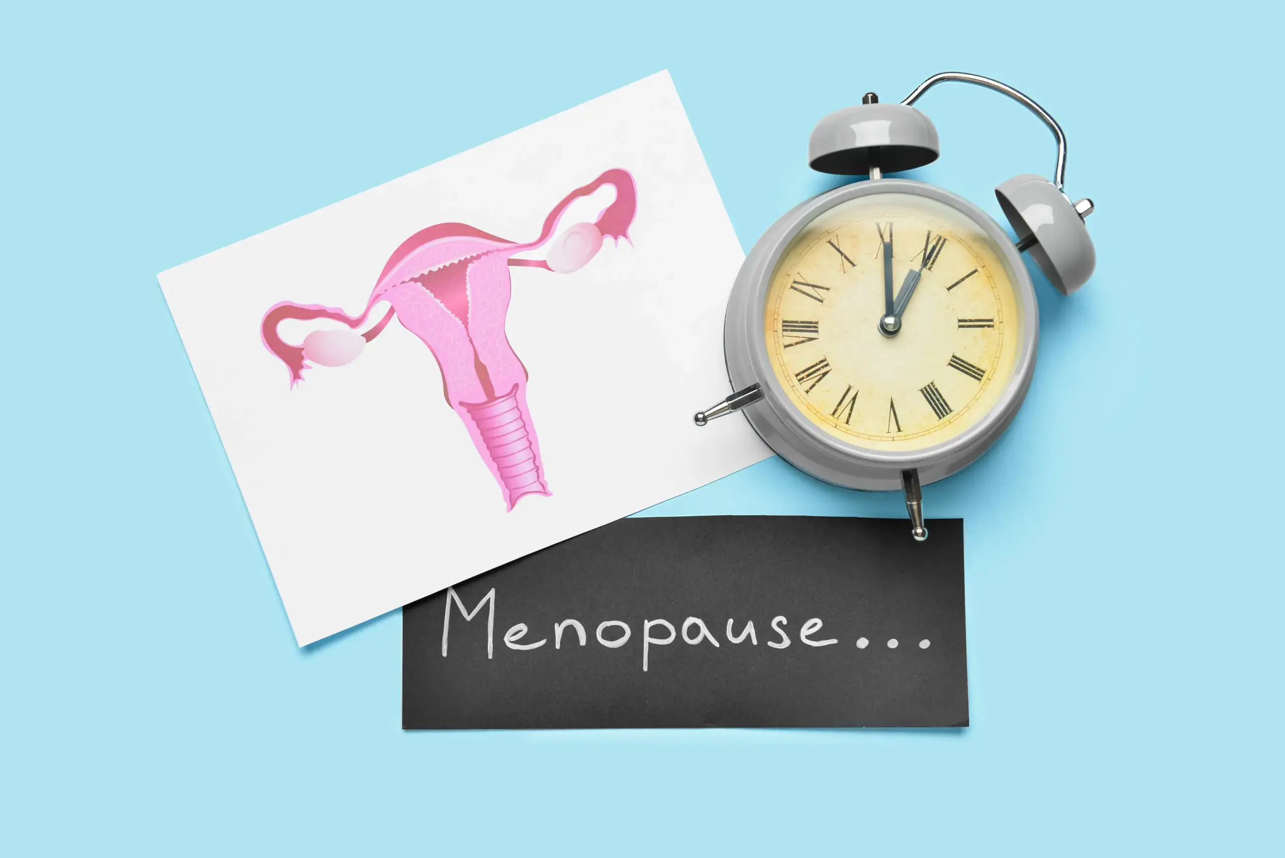 Gebärmutter, Wecker und Schild Menopause